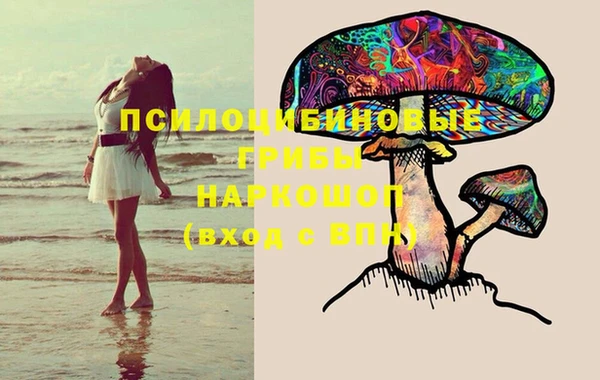амфетамин Алексеевка