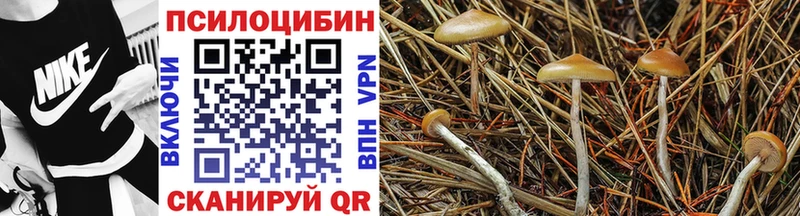 Галлюциногенные грибы мицелий  площадка официальный сайт  Шелехов  где продают наркотики 